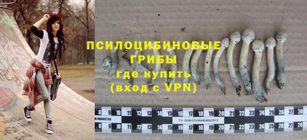 apvp Аркадак
