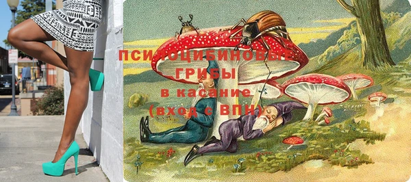 таблы Няндома