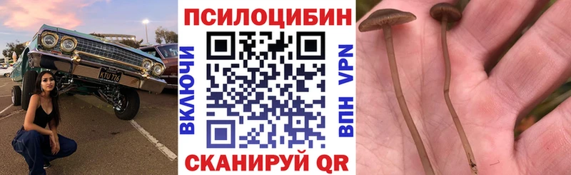 Галлюциногенные грибы Psilocybine cubensis  мориарти какой сайт  Сосновоборск  МЕГА ссылки 